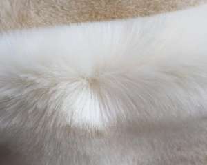 皮草可以用水洗嗎？貉子毛領怎么清洗？